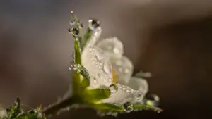 內心清明、陰霾洗滌