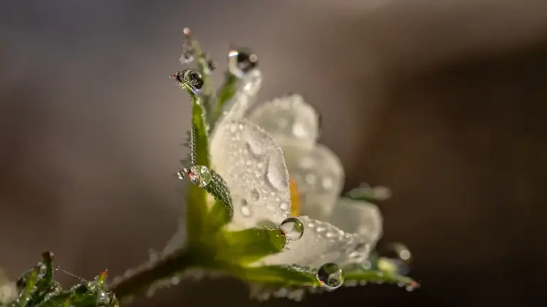 內心清明、陰霾洗滌